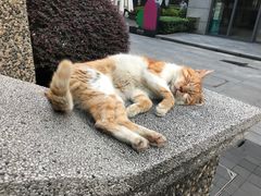 -思南书局(复兴中路店)