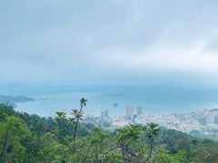 -广东惠东海龟国家级自然保护区