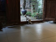 -驿舍·民國老营房院子私房菜(科学会堂店)