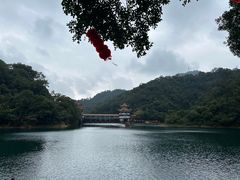-鼎湖山风景区