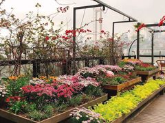 -冰冰龙虾·江湖菜·花园江景餐厅