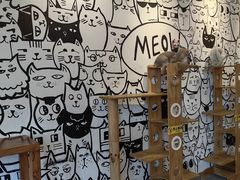 -喵匠猫主题咖啡(凯德和平广场店)