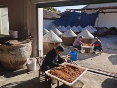 -苏州市吴中区光福窑上花果蜜饯厂