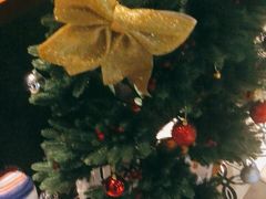 -星巴克(深圳五洲星苑店)