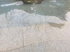 -青城道汤池