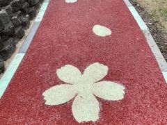 -高东镇樱花园