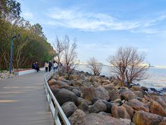 -上海吴淞炮台湾国家湿地公园