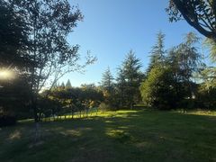 -铁山坪森林公园