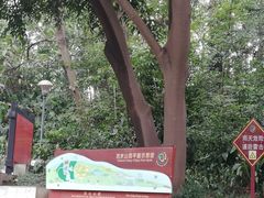 -成都市活水公园