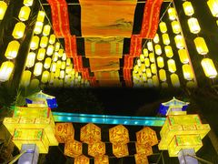 -欢乐海岸椰林沙滩-2025湾区超级灯会