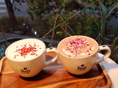 -Peet's Coffee皮爷咖啡(大学路店)