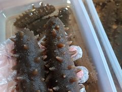 -宫品海参专卖店(静安大宁店)