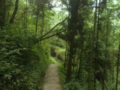 -车溪民俗旅游区