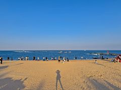 -日照海滨国家森林公园
