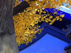 -不二茶空间·养生宴(石景山店)