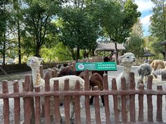 -上海野生动物园