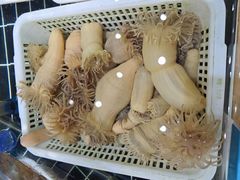 -阿毛饭店·正宗宁波菜(儿童公园旗舰店)