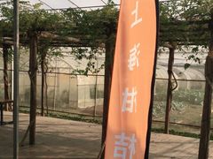 -前小桔亲子创意农场·草莓采摘·露营烧烤