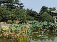 -国家植物园南园