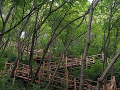 -大岭沟猕猴桃谷风景区