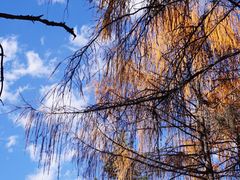 -硗碛藏寨·神木垒景区