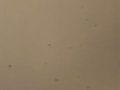 -惠州金海湾嘉华度假酒店