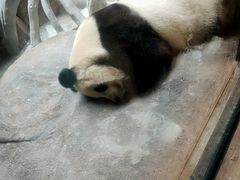 -宁波野生动物园