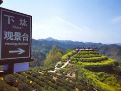 -新安江山水画廊风景区