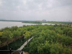 -天津东丽湖风景区