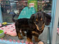 -FAELING PETS美天灵宠物(合生汇店)