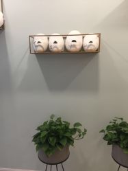 -至臻康妍健康管理中心