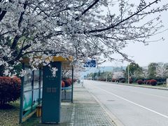-江南大学(蠡湖校区)
