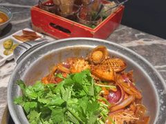 -禄婶鸡煲·打边炉