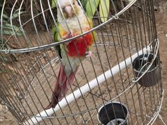 -南宫五洲植物乐园