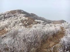 -阳台山自然风景区