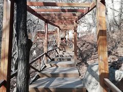 -大岭沟猕猴桃谷风景区