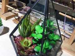 -Trend1881视光·蔡司视觉(领展广场店)