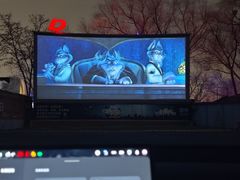 -枫花园汽车电影院(朝阳公园店)