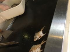 -南美元生态大酒店(海珠店)