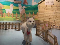 -巴克创奇梦工厂