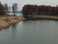-四明湖