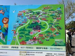 -西霞口神雕山野生动物世界