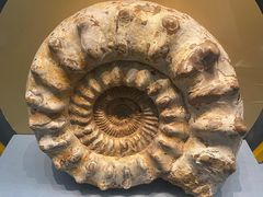 -湖南省地质博物馆