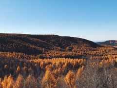 -塞罕坝国家级自然保护区