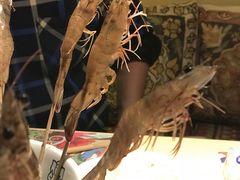 -甘尼仕印度餐厅爵士酒吧(阳春巷店)