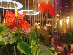 餐具摆设-印象江南(东栅店)