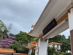 -深圳仙湖植物园