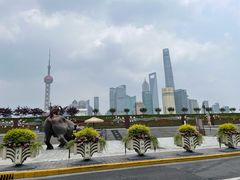 -上海康怡口腔门诊部Alpha Dental