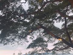 -网红落日悬崖餐厅 The Sky Gallery