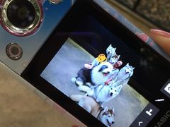 -TrueLove @ Neverland (Husky Cafe)